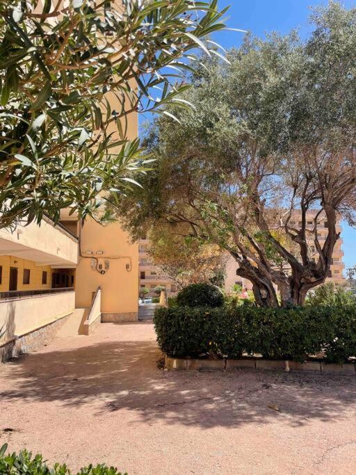 Ferienwohnung Miramar V Torrevieja Extérieur photo